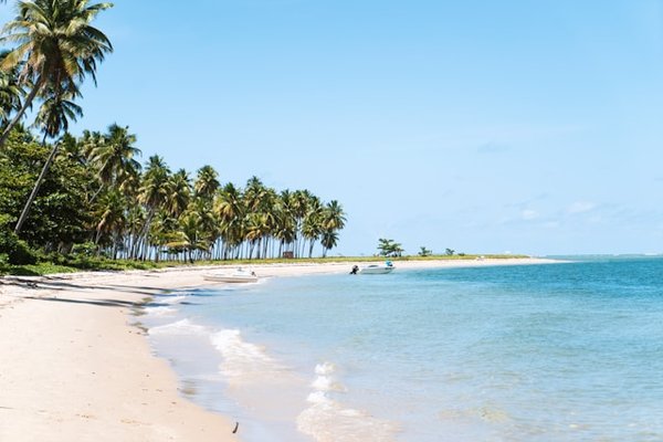 Guide des meilleurs emplacements de camping à Rivedoux-Plage