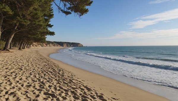 Les meilleures plages à visiter près du camping l'océan en vendée